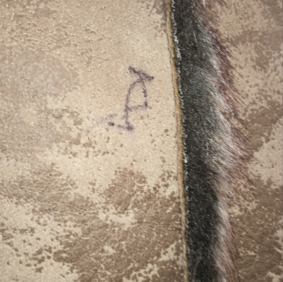 Avalanche Vest - Picture 4 of 10